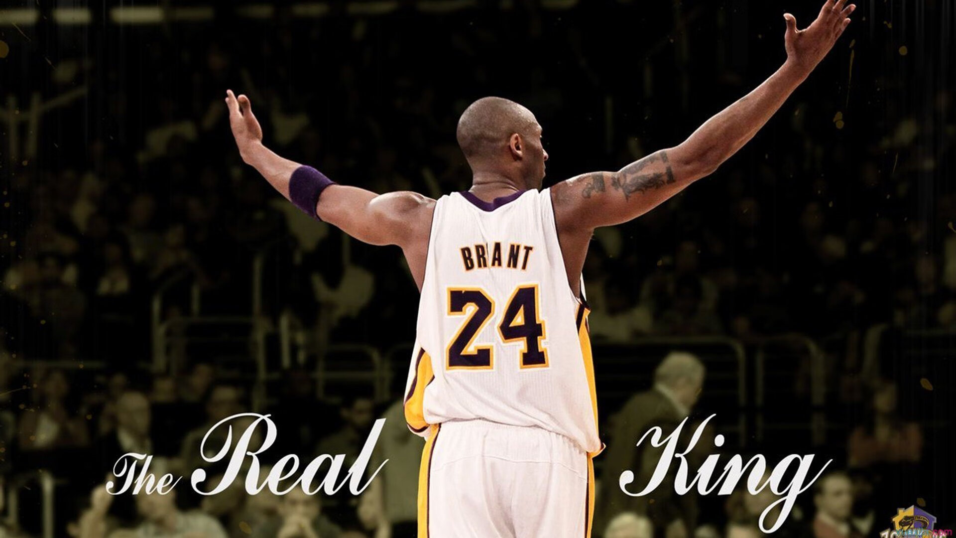 NBA球员训练强度调控技巧，nba球员训练强度调控技巧是什么